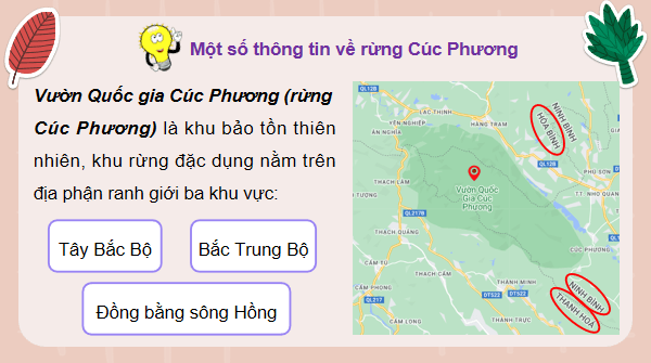 Giáo án điện tử Công nghệ 12 Kết nối tri thức Bài 3: Vai trò, nhiệm vụ của trồng và chăm sóc rừng | PPT Công nghệ 12