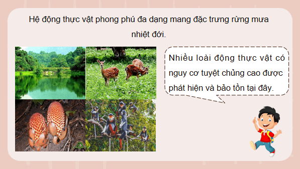 Giáo án điện tử Công nghệ 12 Kết nối tri thức Bài 3: Vai trò, nhiệm vụ của trồng và chăm sóc rừng | PPT Công nghệ 12