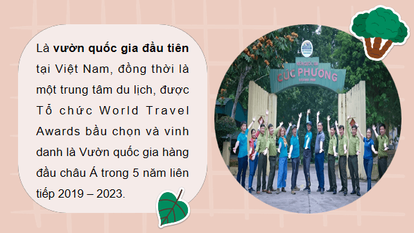 Giáo án điện tử Công nghệ 12 Kết nối tri thức Bài 3: Vai trò, nhiệm vụ của trồng và chăm sóc rừng | PPT Công nghệ 12