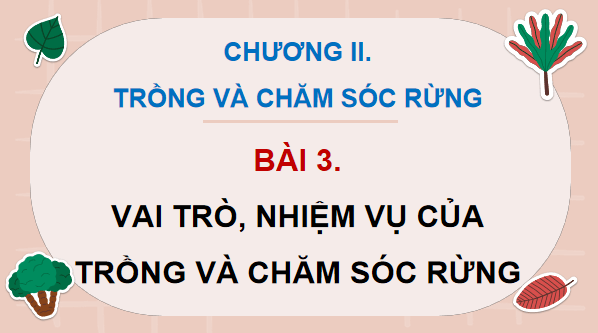 Giáo án điện tử Công nghệ 12 Kết nối tri thức Bài 3: Vai trò, nhiệm vụ của trồng và chăm sóc rừng | PPT Công nghệ 12