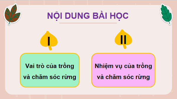 Giáo án điện tử Công nghệ 12 Kết nối tri thức Bài 3: Vai trò, nhiệm vụ của trồng và chăm sóc rừng | PPT Công nghệ 12