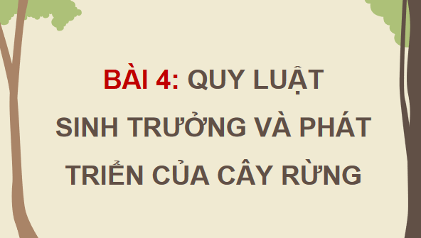 Giáo án điện tử Công nghệ 12 Kết nối tri thức Bài 4: Quy luật sinh trưởng và phát triển của cây rừng | PPT Công nghệ 12