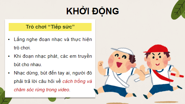 Giáo án điện tử Công nghệ 12 Kết nối tri thức Bài 5: Kĩ thuật trồng và chăm sóc rừng | PPT Công nghệ 12