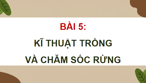 Giáo án điện tử Công nghệ 12 Kết nối tri thức Bài 5: Kĩ thuật trồng và chăm sóc rừng | PPT Công nghệ 12
