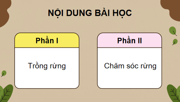 Giáo án điện tử Công nghệ 12 Kết nối tri thức Bài 5: Kĩ thuật trồng và chăm sóc rừng | PPT Công nghệ 12