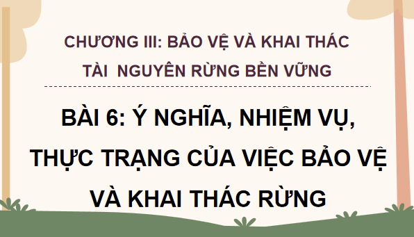 Giáo án điện tử Công nghệ 12 Kết nối tri thức Bài 6: Ý nghĩa, nhiệm vụ, thực trạng của việc bảo vệ và khai thác rừng và khai thác rừng | PPT Công nghệ 12