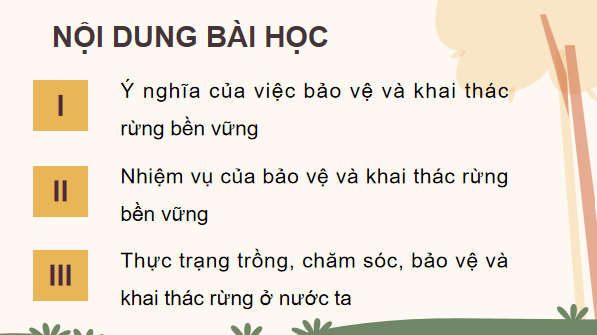Giáo án điện tử Công nghệ 12 Kết nối tri thức Bài 6: Ý nghĩa, nhiệm vụ, thực trạng của việc bảo vệ và khai thác rừng và khai thác rừng | PPT Công nghệ 12