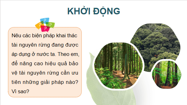 Giáo án điện tử Công nghệ 12 Kết nối tri thức Bài 7: Biện pháp bảo vệ và khai thác tài nguyên rừng | PPT Công nghệ 12