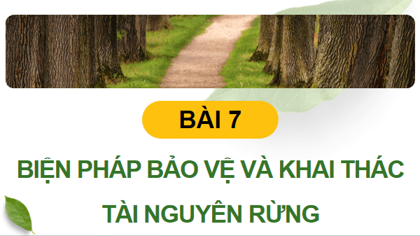 Giáo án điện tử Công nghệ 12 Kết nối tri thức Bài 7: Biện pháp bảo vệ và khai thác tài nguyên rừng | PPT Công nghệ 12