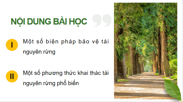 Giáo án điện tử Công nghệ 12 Kết nối tri thức Bài 7: Biện pháp bảo vệ và khai thác tài nguyên rừng | PPT Công nghệ 12