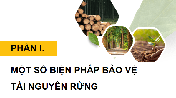 Giáo án điện tử Công nghệ 12 Kết nối tri thức Bài 7: Biện pháp bảo vệ và khai thác tài nguyên rừng | PPT Công nghệ 12