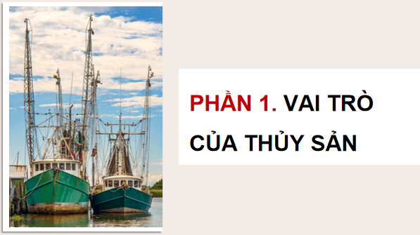 Giáo án điện tử Công nghệ 12 Kết nối tri thức Bài 8: Vai trò và triển vọng của thuỷ sản | PPT Công nghệ 12