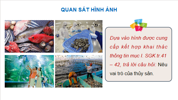Giáo án điện tử Công nghệ 12 Kết nối tri thức Bài 8: Vai trò và triển vọng của thuỷ sản | PPT Công nghệ 12