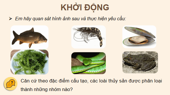 Giáo án điện tử Công nghệ 12 Kết nối tri thức Bài 9: Các nhóm thuỷ sản và một số phương thức nuôi phổ biến | PPT Công nghệ 12