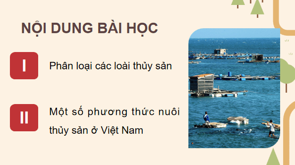 Giáo án điện tử Công nghệ 12 Kết nối tri thức Bài 9: Các nhóm thuỷ sản và một số phương thức nuôi phổ biến | PPT Công nghệ 12