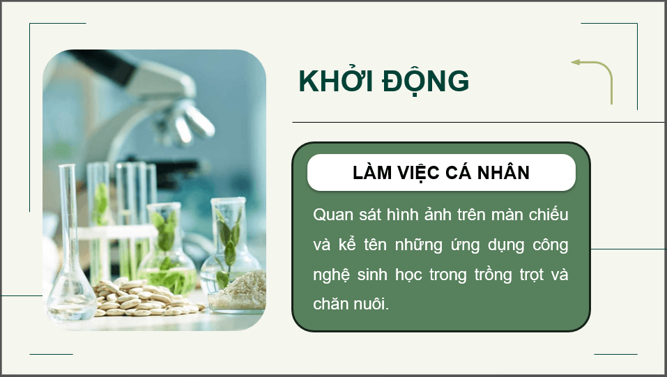 Giáo án điện tử Chuyên đề Công nghệ 12 Kết nối tri thức Bài 1: Bài mở đầu | PPT Chuyên đề Công nghệ 12