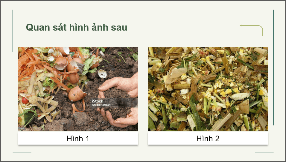 Giáo án điện tử Chuyên đề Công nghệ 12 Kết nối tri thức Bài 1: Bài mở đầu | PPT Chuyên đề Công nghệ 12