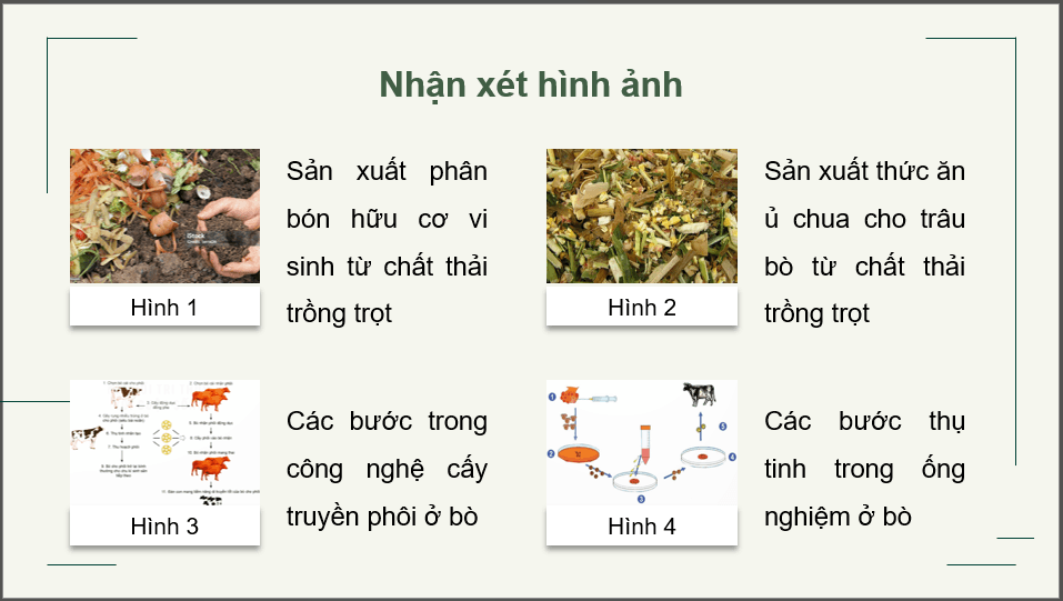 Giáo án điện tử Chuyên đề Công nghệ 12 Kết nối tri thức Bài 1: Bài mở đầu | PPT Chuyên đề Công nghệ 12