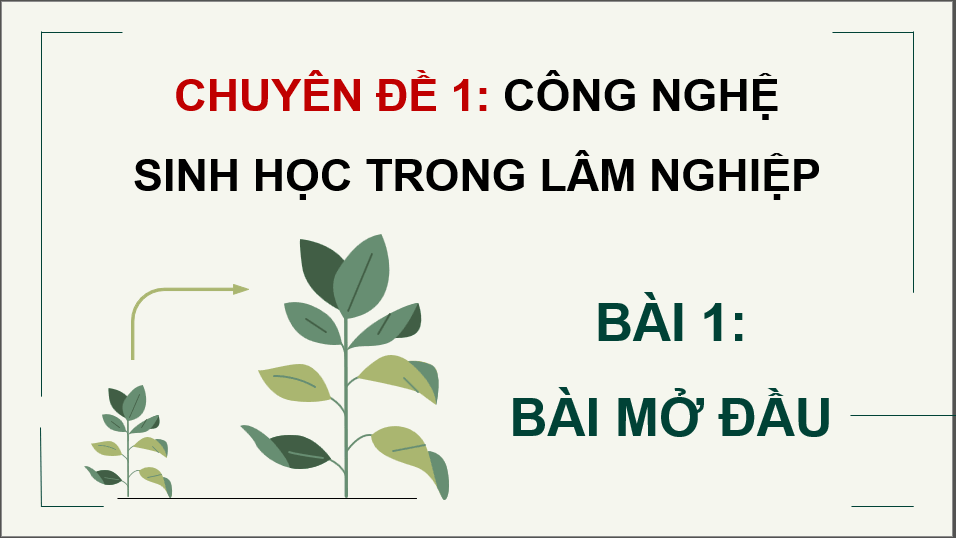 Giáo án điện tử Chuyên đề Công nghệ 12 Kết nối tri thức Bài 1: Bài mở đầu | PPT Chuyên đề Công nghệ 12