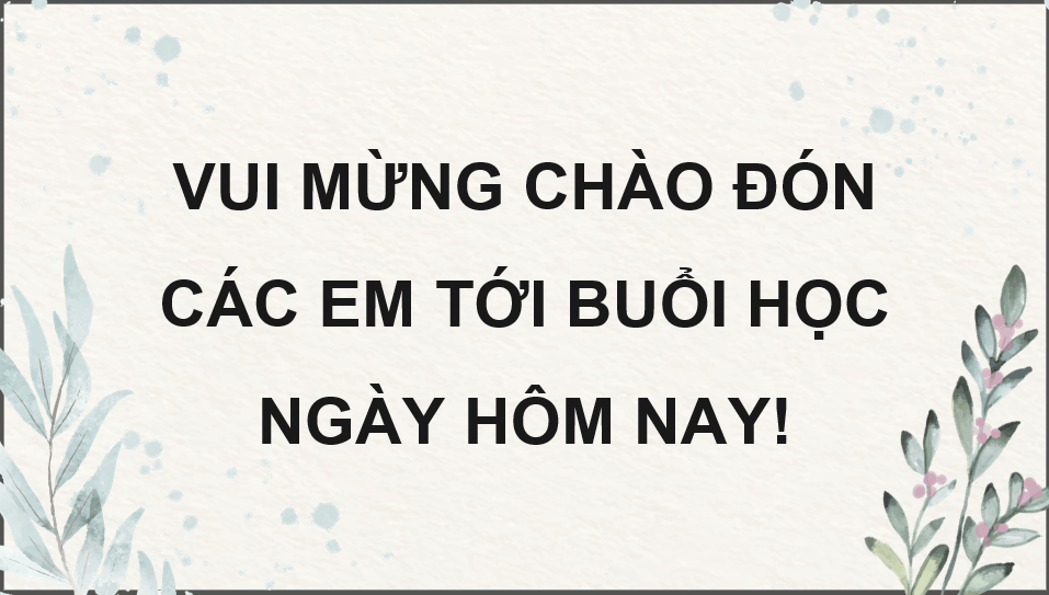 Giáo án điện tử Chuyên đề Công nghệ 12 Kết nối tri thức Bài 11: Nuôi dưỡng và chăm sóc cá cảnh nước ngọt | PPT Chuyên đề Công nghệ 12