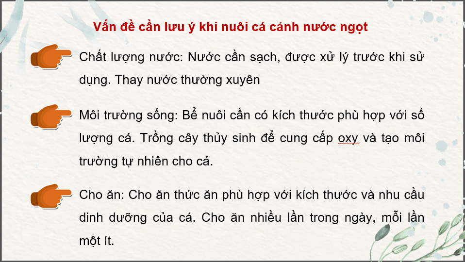 Giáo án điện tử Chuyên đề Công nghệ 12 Kết nối tri thức Bài 11: Nuôi dưỡng và chăm sóc cá cảnh nước ngọt | PPT Chuyên đề Công nghệ 12