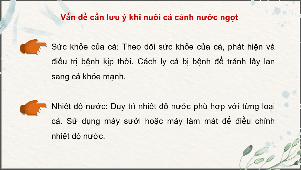 Giáo án điện tử Chuyên đề Công nghệ 12 Kết nối tri thức Bài 11: Nuôi dưỡng và chăm sóc cá cảnh nước ngọt | PPT Chuyên đề Công nghệ 12