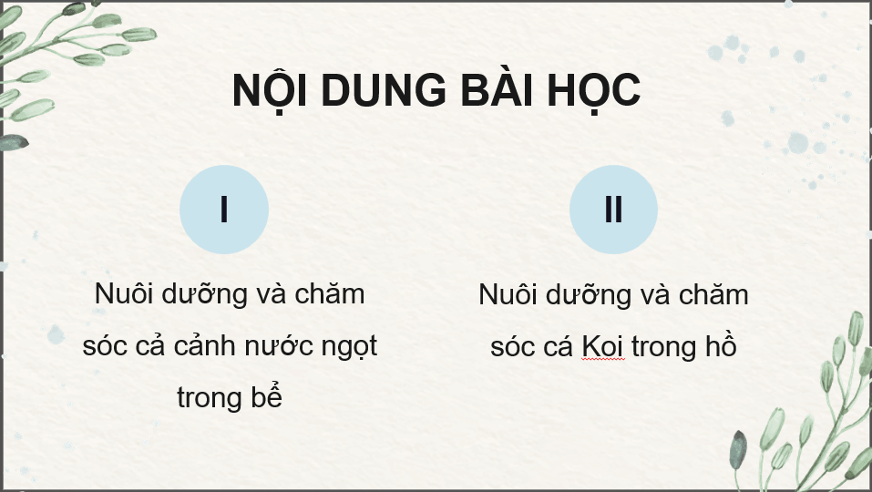 Giáo án điện tử Chuyên đề Công nghệ 12 Kết nối tri thức Bài 11: Nuôi dưỡng và chăm sóc cá cảnh nước ngọt | PPT Chuyên đề Công nghệ 12