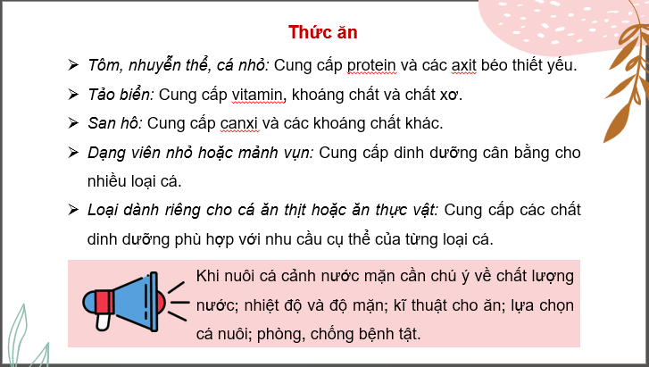 Giáo án điện tử Chuyên đề Công nghệ 12 Kết nối tri thức Bài 12: Nuôi dưỡng và chăm sóc cá cảnh nước mặn | PPT Chuyên đề Công nghệ 12