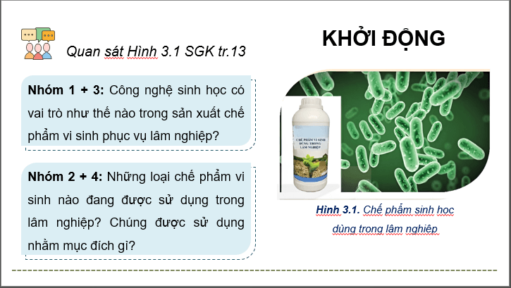 Giáo án điện tử Chuyên đề Công nghệ 12 Kết nối tri thức Bài 3: Công nghệ sinh học trong sản xuất chế phẩm vi sinh phục vụ lâm nghiệp | PPT Chuyên đề Công nghệ 12