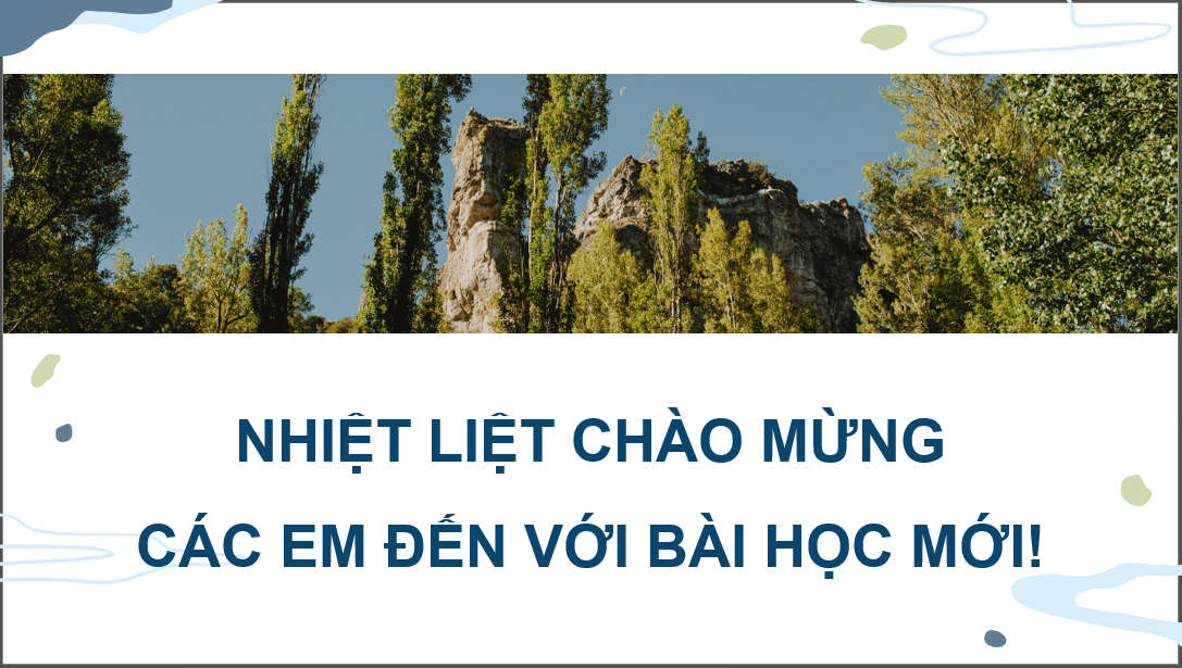 Giáo án điện tử Chuyên đề Công nghệ 12 Kết nối tri thức Bài 4: Ứng dụng mã vạch DNA trong lâm nghiệp | PPT Chuyên đề Công nghệ 12