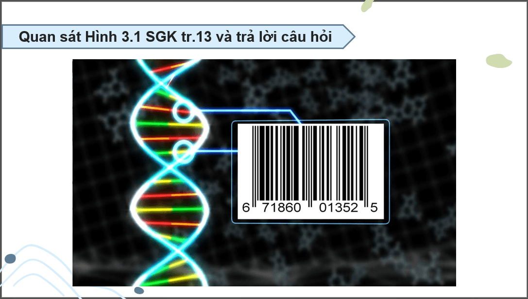 Giáo án điện tử Chuyên đề Công nghệ 12 Kết nối tri thức Bài 4: Ứng dụng mã vạch DNA trong lâm nghiệp | PPT Chuyên đề Công nghệ 12