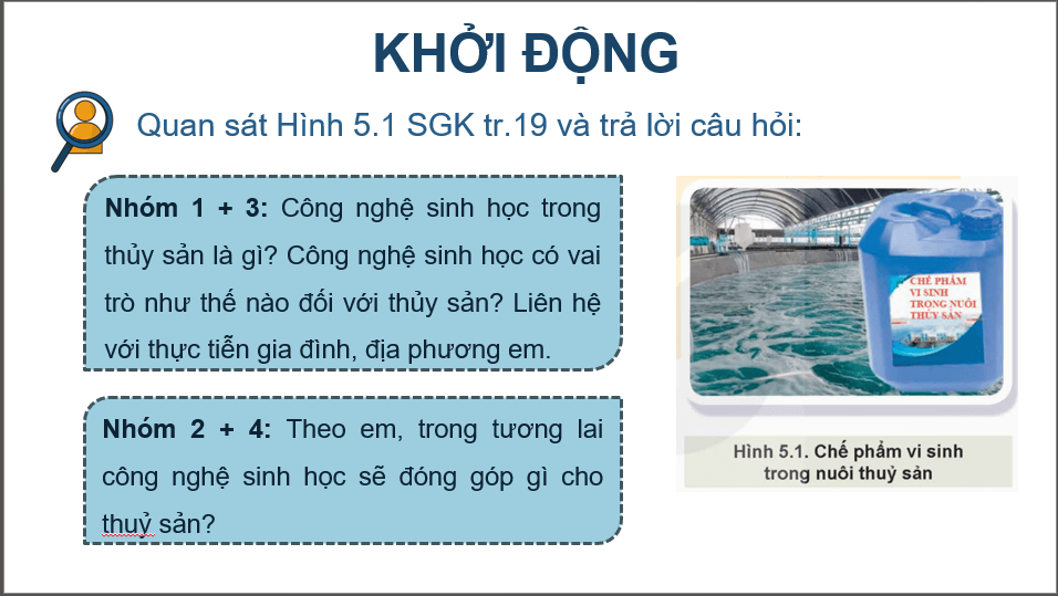 Giáo án điện tử Chuyên đề Công nghệ 12 Kết nối tri thức Bài 5: Vai trò và triển vọng của công nghệ sinh học trong thuỷ sản | PPT Chuyên đề Công nghệ 12