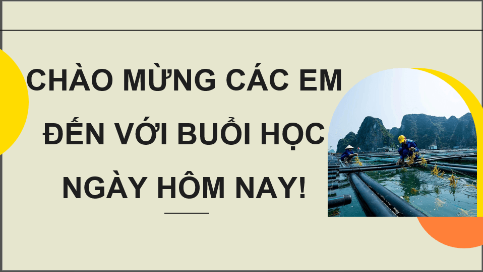 Giáo án điện tử Chuyên đề Công nghệ 12 Kết nối tri thức Bài 6: Một số ứng dụng công nghệ sinh học trong chọn, tạo giống thuỷ sản | PPT Chuyên đề Công nghệ 12