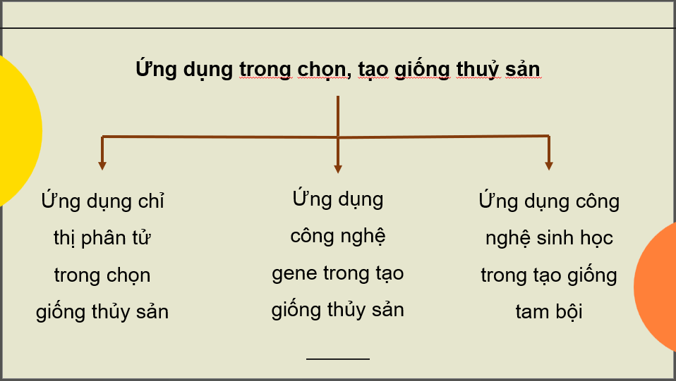 Giáo án điện tử Chuyên đề Công nghệ 12 Kết nối tri thức Bài 6: Một số ứng dụng công nghệ sinh học trong chọn, tạo giống thuỷ sản | PPT Chuyên đề Công nghệ 12
