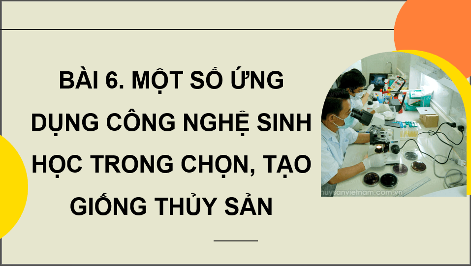 Giáo án điện tử Chuyên đề Công nghệ 12 Kết nối tri thức Bài 6: Một số ứng dụng công nghệ sinh học trong chọn, tạo giống thuỷ sản | PPT Chuyên đề Công nghệ 12