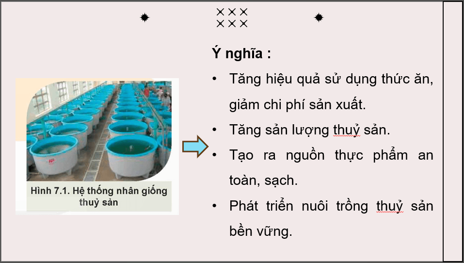 Giáo án điện tử Chuyên đề Công nghệ 12 Kết nối tri thức Bài 7: Ứng dụng công nghệ sinh học trong sản xuất giống thuỷ sản | PPT Chuyên đề Công nghệ 12