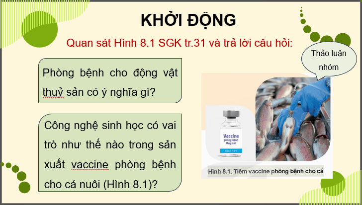 Giáo án điện tử Chuyên đề Công nghệ 12 Kết nối tri thức Bài 8: Ứng dụng công nghệ sinh học trong phòng bệnh thuỷ sản | PPT Chuyên đề Công nghệ 12