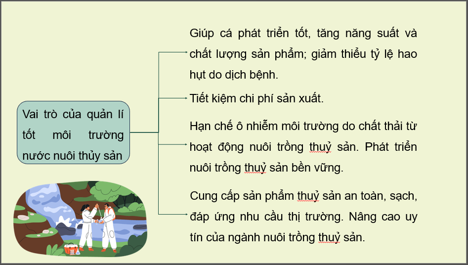 Giáo án điện tử Chuyên đề Công nghệ 12 Kết nối tri thức Bài 9: Ứng dụng công nghệ sinh học trong quản lí môi trường nước nuôi thuỷ sản | PPT Chuyên đề Công nghệ 12