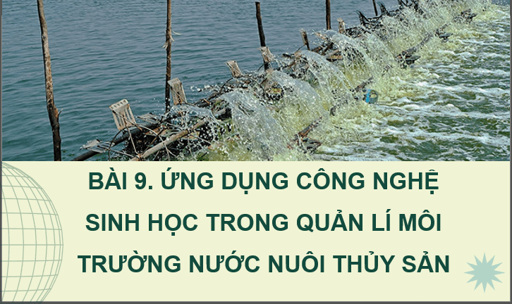 Giáo án điện tử Chuyên đề Công nghệ 12 Kết nối tri thức Bài 9: Ứng dụng công nghệ sinh học trong quản lí môi trường nước nuôi thuỷ sản | PPT Chuyên đề Công nghệ 12