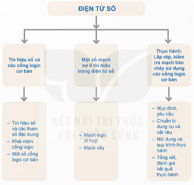 Giáo án Công nghệ 12 Kết nối tri thức Tổng kết Chương 8