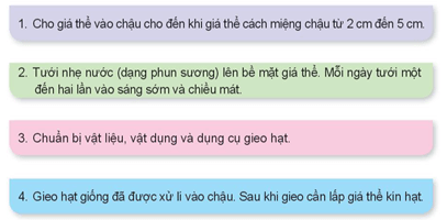 Giáo án Công nghệ lớp 4 Kết nối tri thức Bài 4: Gieo hạt hoa, cây cảnh trong chậu