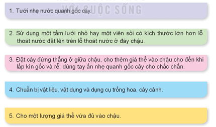 Giáo án Công nghệ lớp 4 Kết nối tri thức Bài 5: Trồng hoa, cây cảnh trong chậu