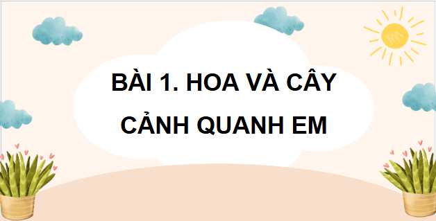 Giáo án điện tử Công nghệ lớp 4 Chân trời sáng tạo Bài 1: Hoa và cây cảnh quanh em | PPT Công nghệ 4