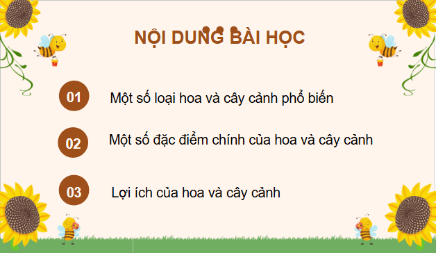 Giáo án điện tử Công nghệ lớp 4 Chân trời sáng tạo Bài 1: Hoa và cây cảnh quanh em | PPT Công nghệ 4