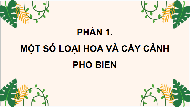 Giáo án điện tử Công nghệ lớp 4 Chân trời sáng tạo Bài 1: Hoa và cây cảnh quanh em | PPT Công nghệ 4