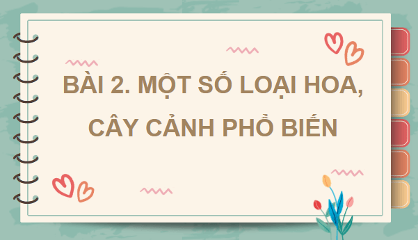 Giáo án điện tử Công nghệ lớp 4 Kết nối tri thức Bài 2: Một số loại hoa, cây cảnh phổ biến | PPT Công nghệ 4