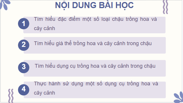 Giáo án điện tử Công nghệ lớp 4 Chân trời sáng tạo Bài 2: Vật liệu, dụng cụ trồng hoa và cây cảnh trong chậu | PPT Công nghệ 4