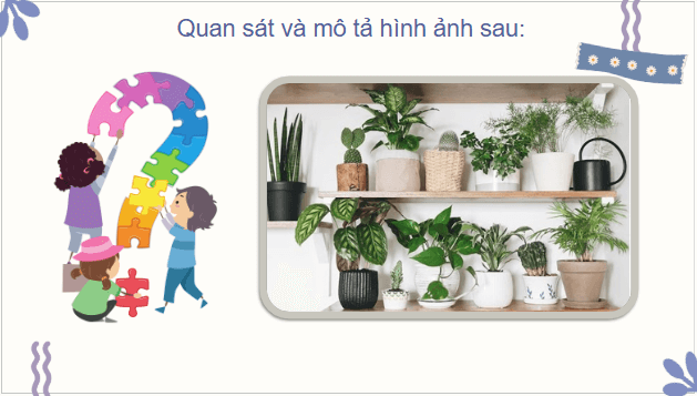 Giáo án điện tử Công nghệ lớp 4 Chân trời sáng tạo Bài 2: Vật liệu, dụng cụ trồng hoa và cây cảnh trong chậu | PPT Công nghệ 4