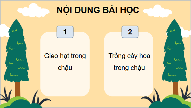 Giáo án điện tử Công nghệ lớp 4 Chân trời sáng tạo Bài 3: Gieo hạt và trồng hoa trong chậu | PPT Công nghệ 4