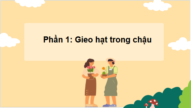 Giáo án điện tử Công nghệ lớp 4 Chân trời sáng tạo Bài 3: Gieo hạt và trồng hoa trong chậu | PPT Công nghệ 4